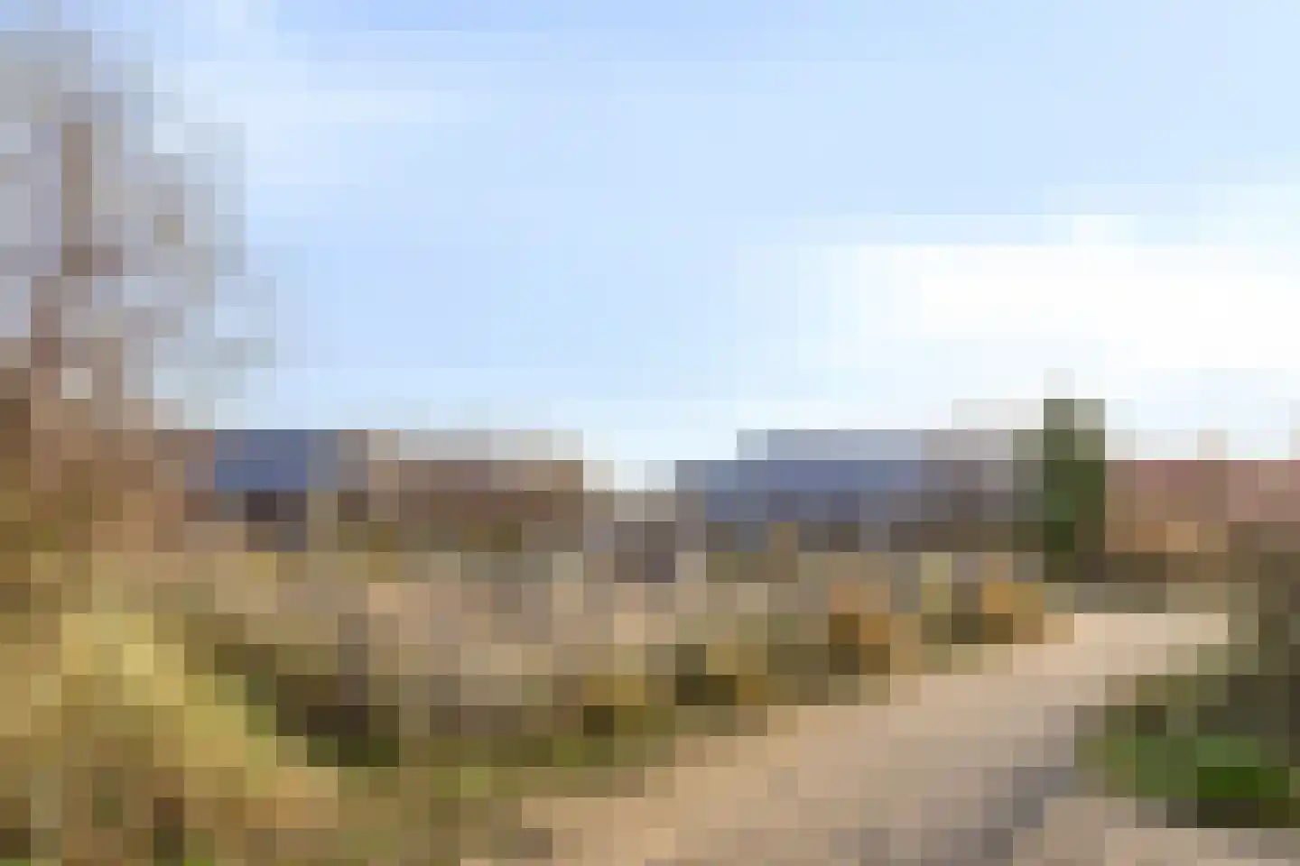Zeedijk 24 014 Nieuwvliet thumbnail 21