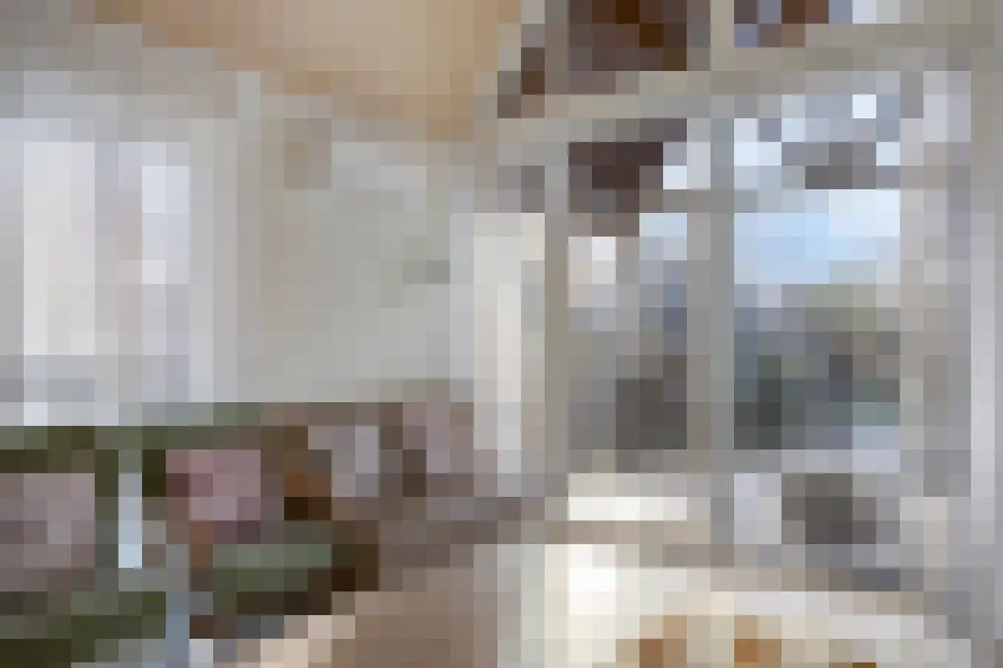 Zeedijk 24 014 Nieuwvliet thumbnail 6