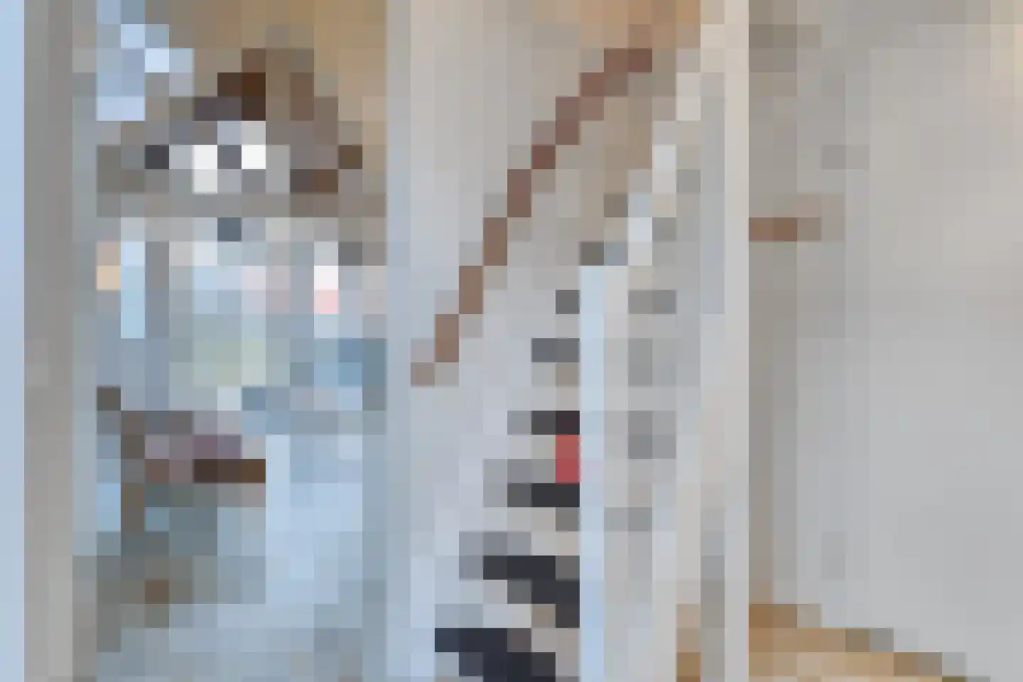 Zeedijk 24 038 Nieuwvliet thumbnail 10