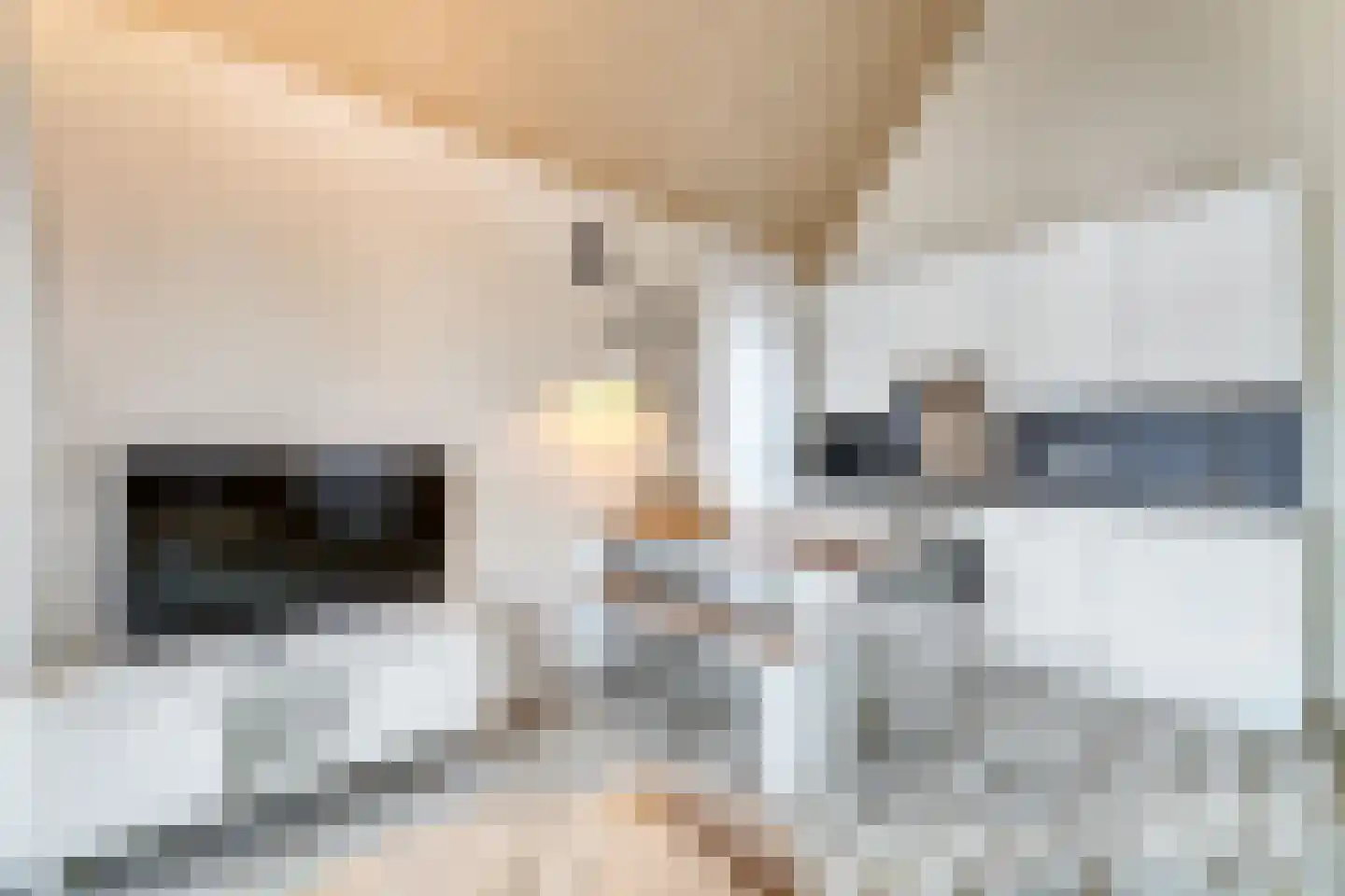 Zeedijk 24 038 Nieuwvliet thumbnail 11