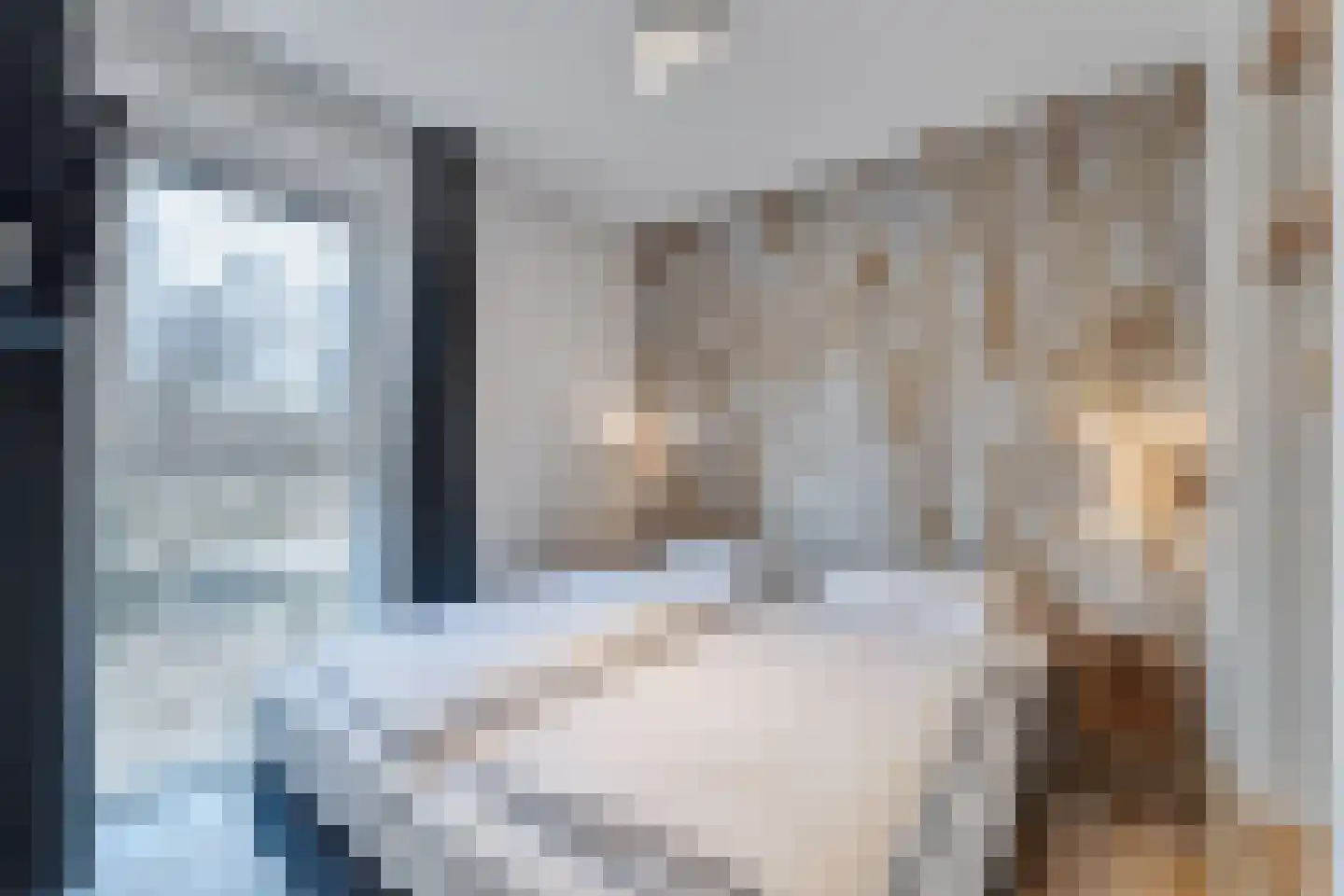 Zeedijk 24 038 Nieuwvliet thumbnail 13