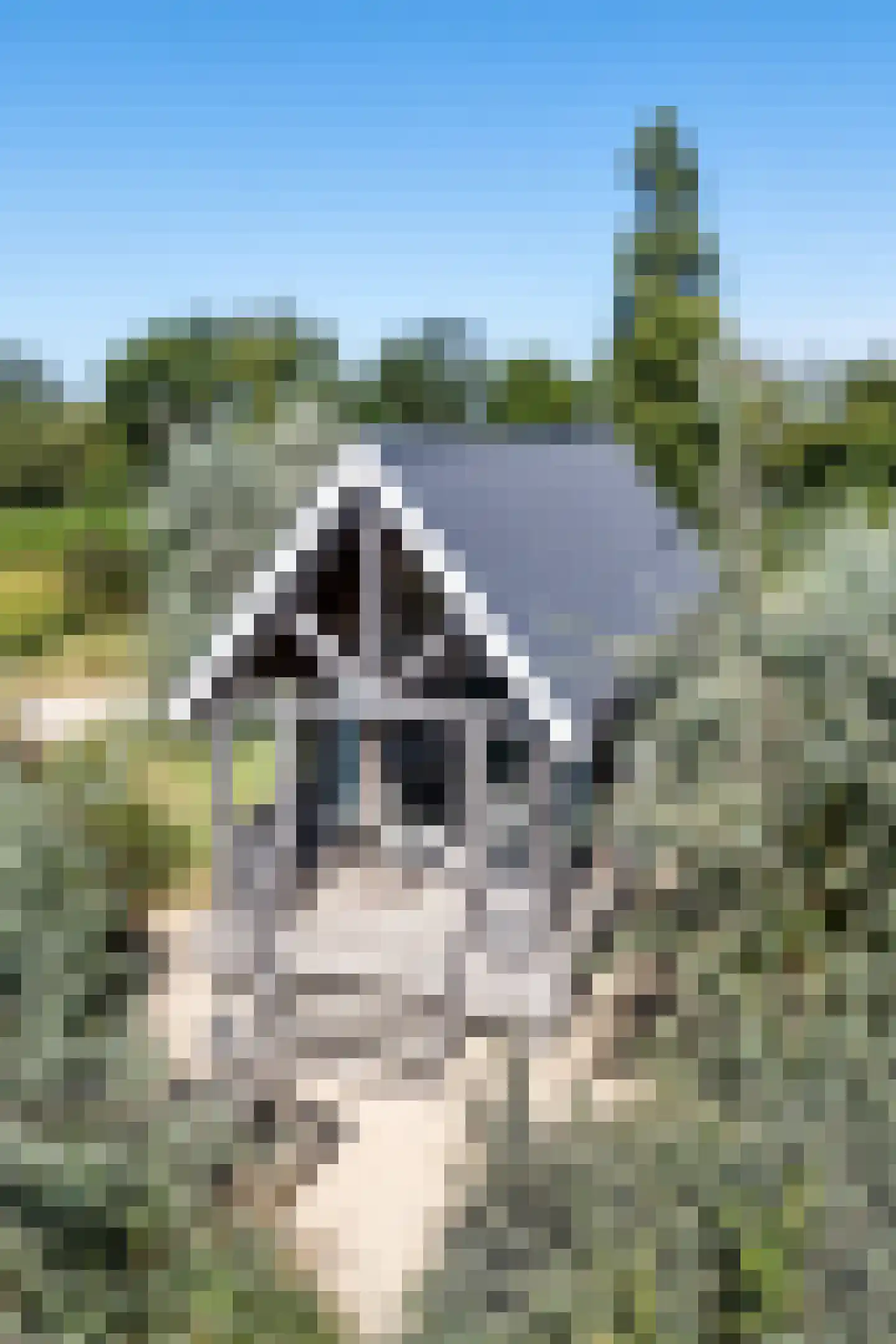 Zeedijk 24 038 Nieuwvliet thumbnail 7