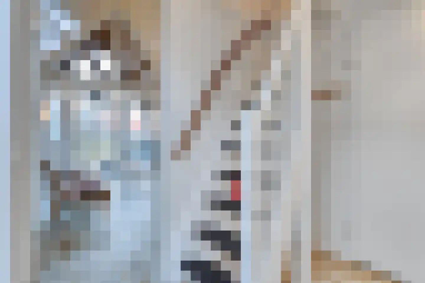 Zeedijk 24 038 Nieuwvliet thumbnail 9