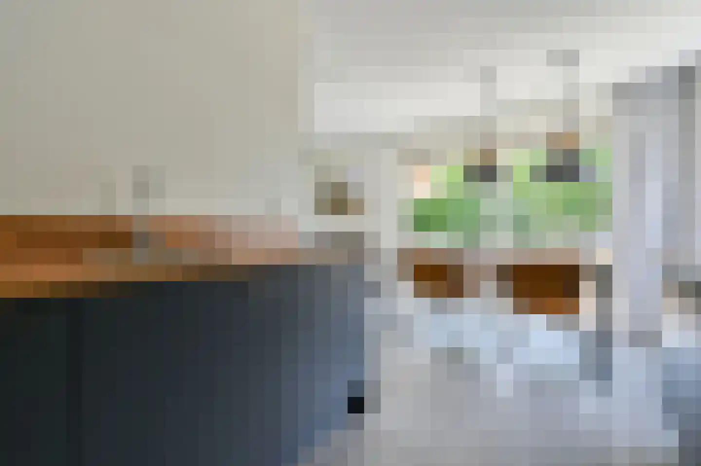 Zeedijk 24 125 Nieuwvliet thumbnail 10