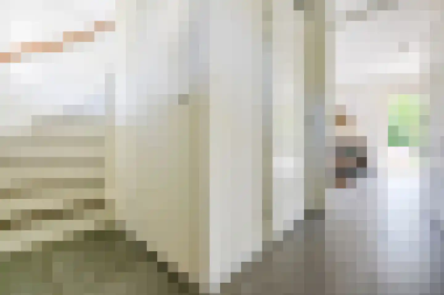 Zeedijk 24 125 Nieuwvliet thumbnail 10
