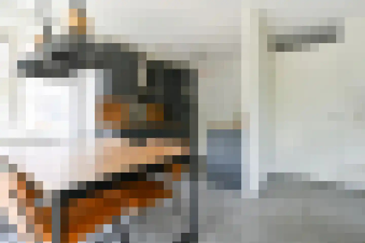Zeedijk 24 125 Nieuwvliet thumbnail 17