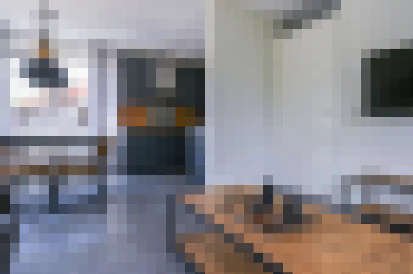 Zeedijk 24 125 Nieuwvliet thumbnail 19