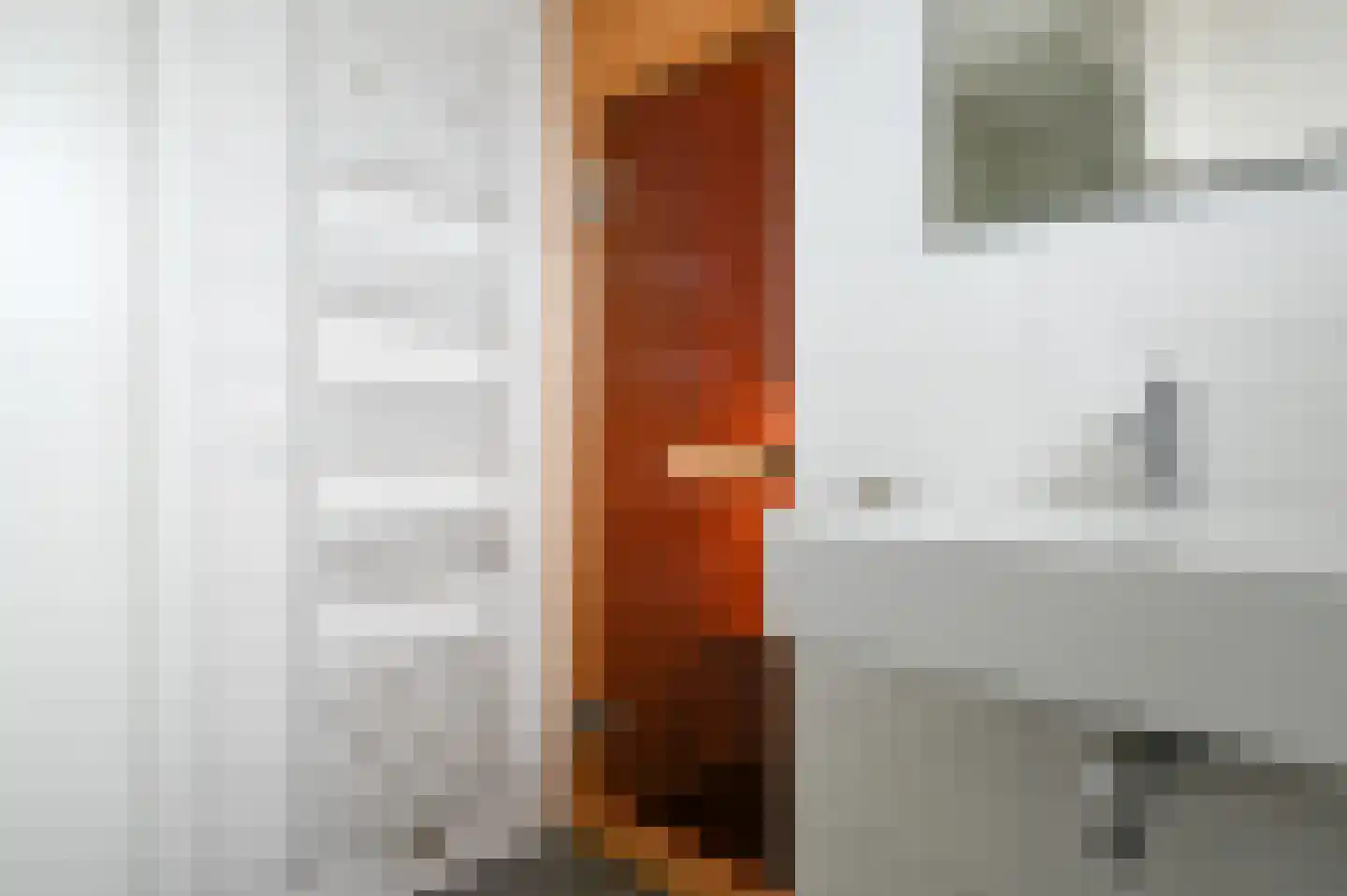 Zeedijk 24 125 Nieuwvliet thumbnail 28