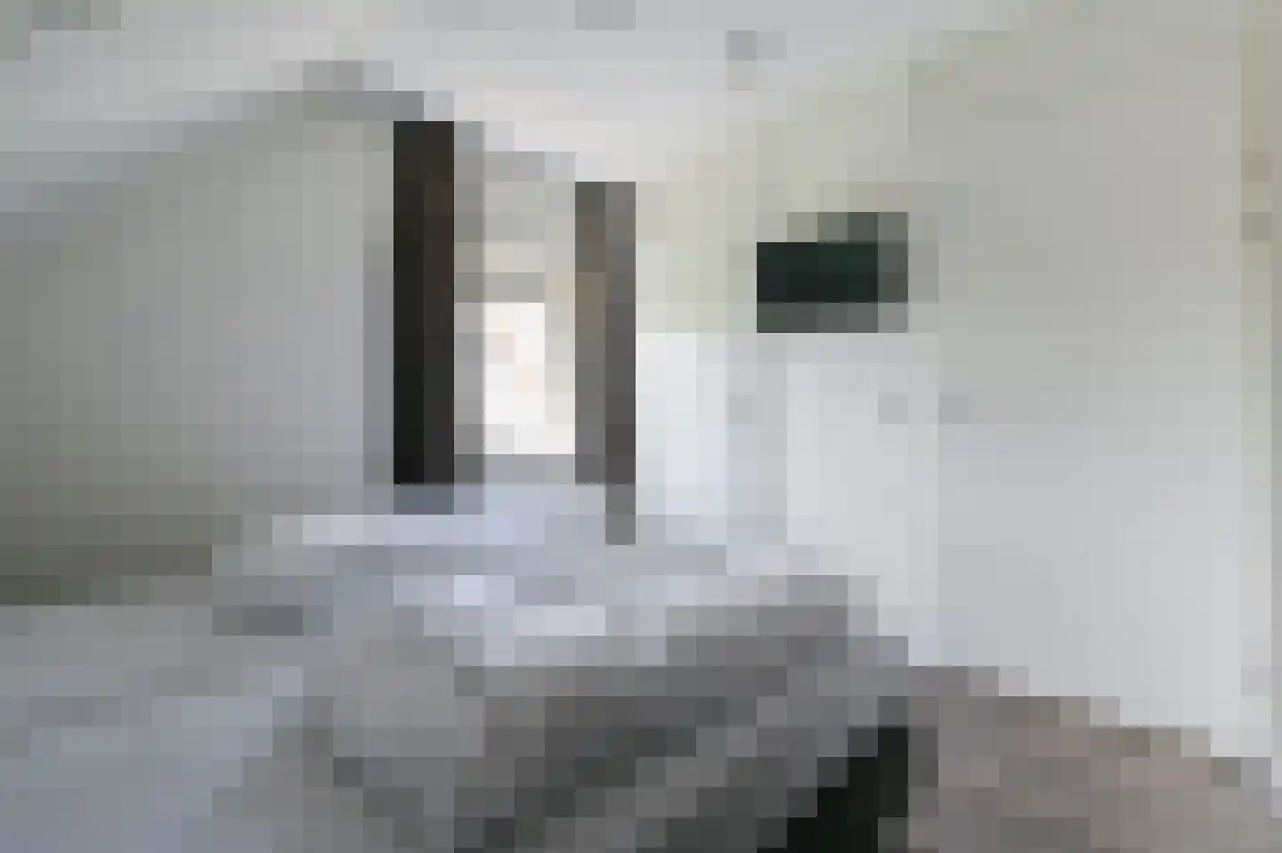 Zeedijk 24 125 Nieuwvliet thumbnail 29