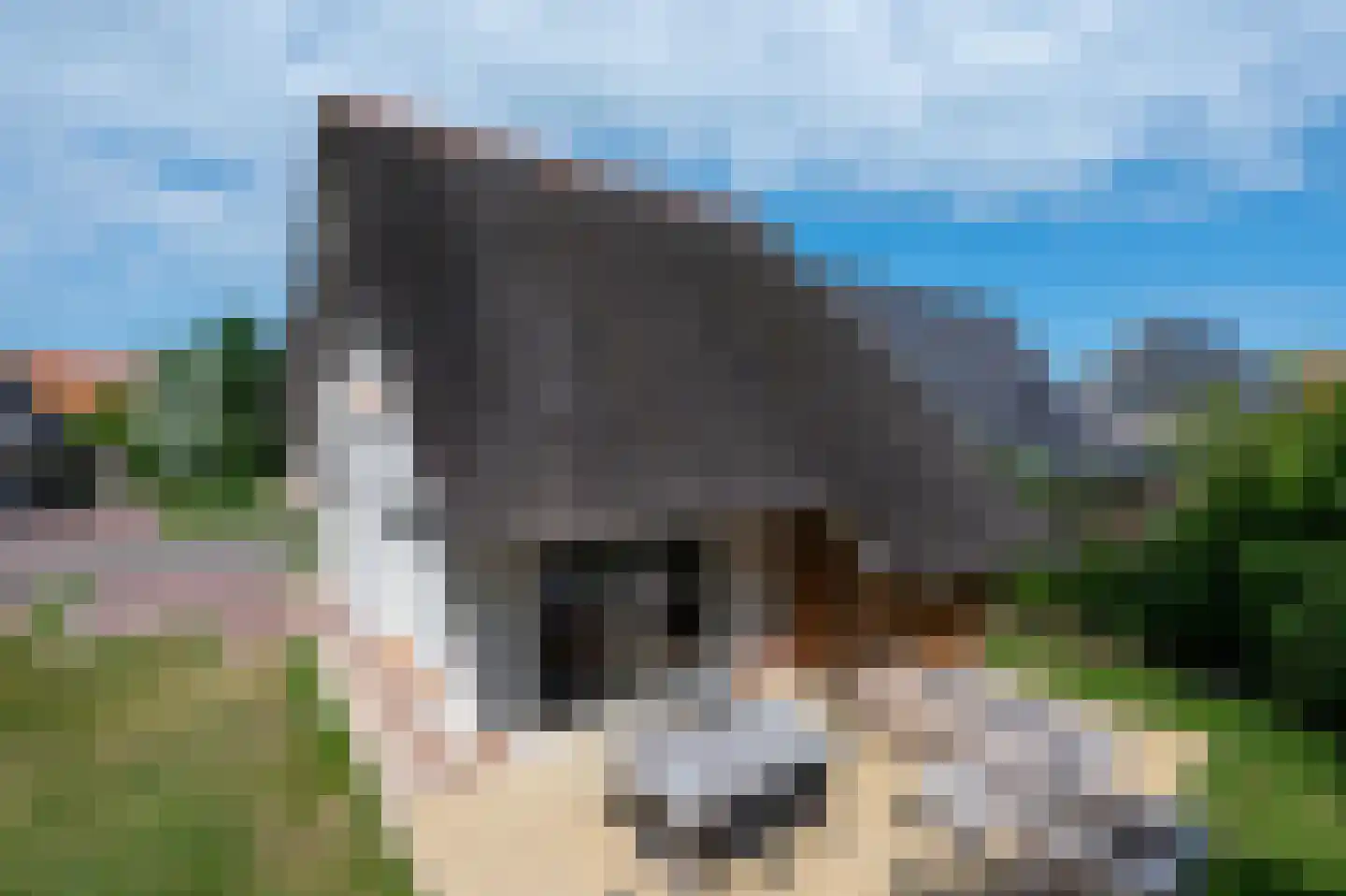 Zeedijk 24 125 Nieuwvliet thumbnail 33