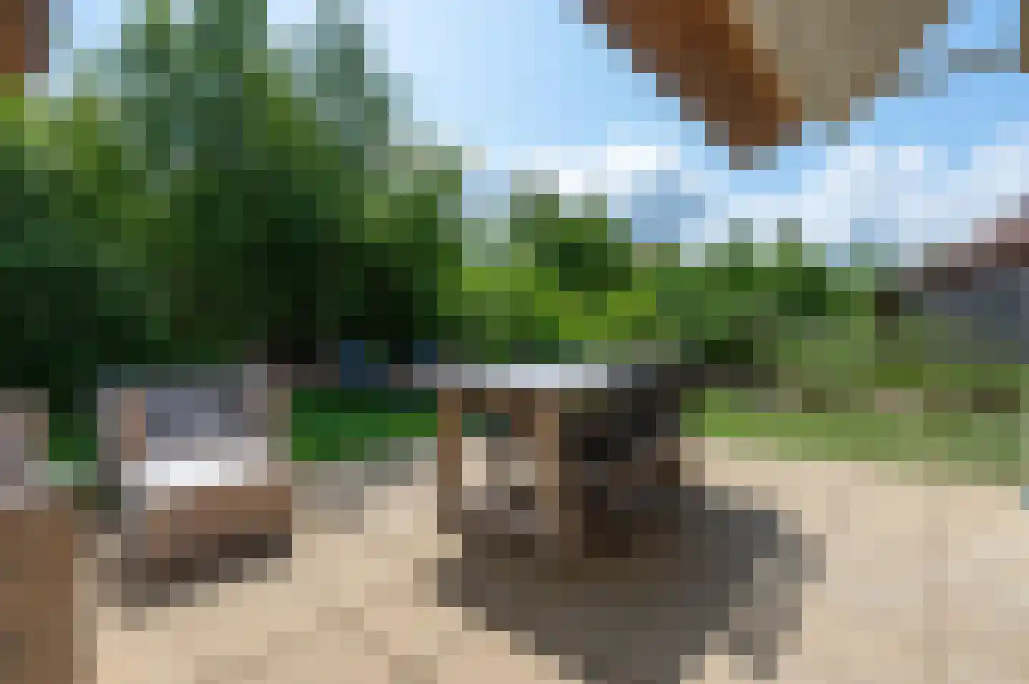 Zeedijk 24 125 Nieuwvliet thumbnail 4