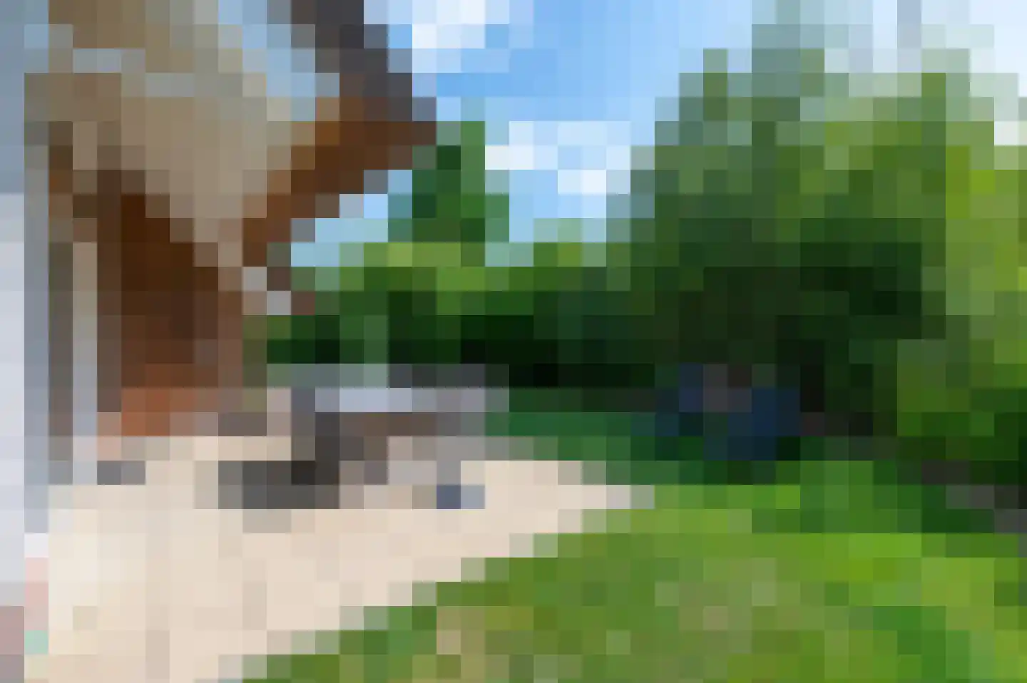 Zeedijk 24 125 Nieuwvliet thumbnail 6