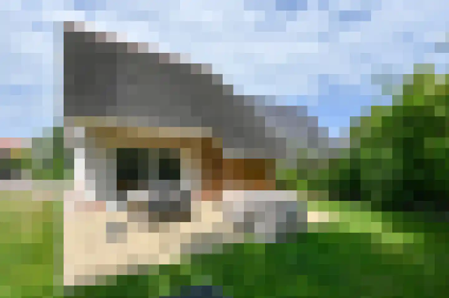 Zeedijk 24 125 Nieuwvliet thumbnail 7
