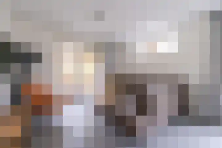 Zeedijk 24 126 Nieuwvliet thumbnail 10