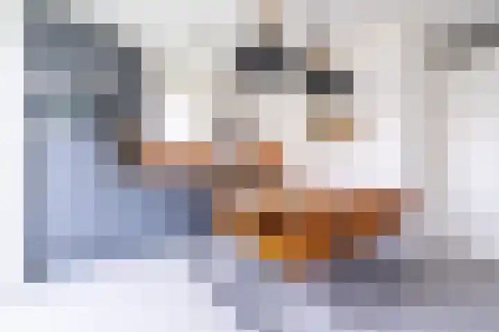 Zeedijk 24 126 Nieuwvliet thumbnail 12