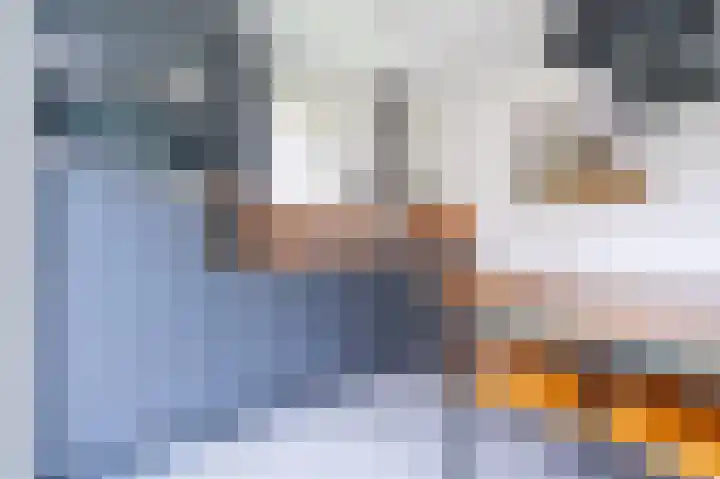 Zeedijk 24 126 Nieuwvliet thumbnail 13