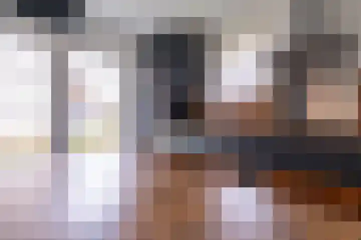 Zeedijk 24 126 Nieuwvliet thumbnail 16
