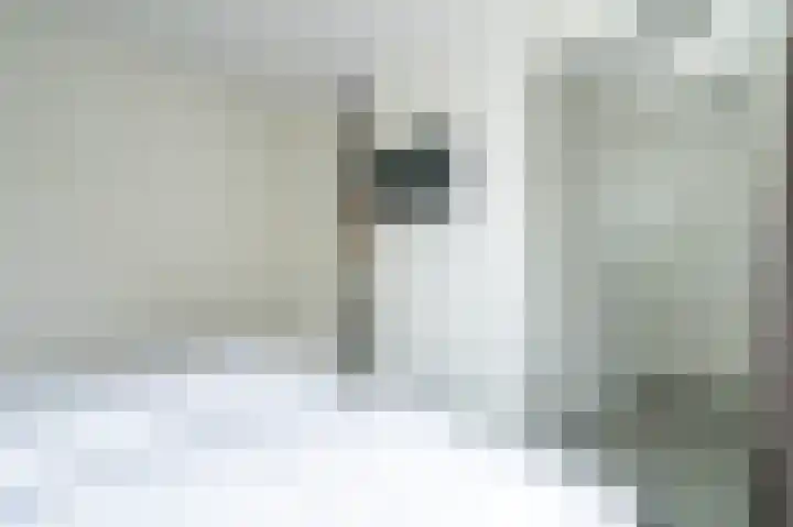 Zeedijk 24 126 Nieuwvliet thumbnail 17