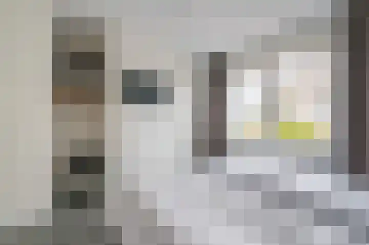 Zeedijk 24 126 Nieuwvliet thumbnail 18