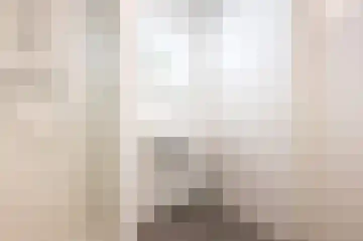 Zeedijk 24 126 Nieuwvliet thumbnail 19