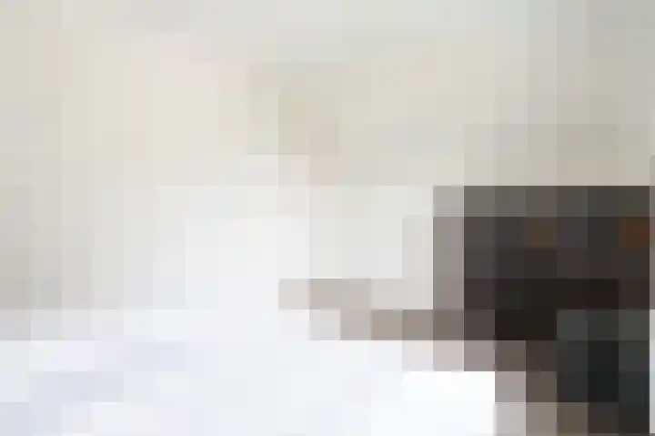 Zeedijk 24 126 Nieuwvliet thumbnail 25