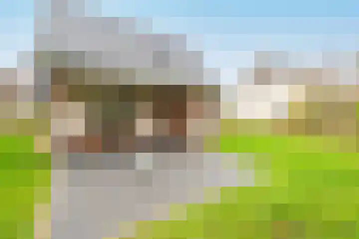 Zeedijk 24 126 Nieuwvliet thumbnail 31
