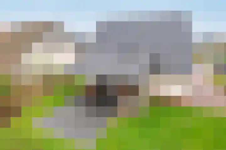 Zeedijk 24 126 Nieuwvliet thumbnail 32