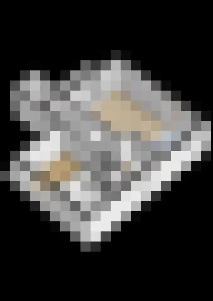 Zeedijk 24 126 Nieuwvliet thumbnail 36