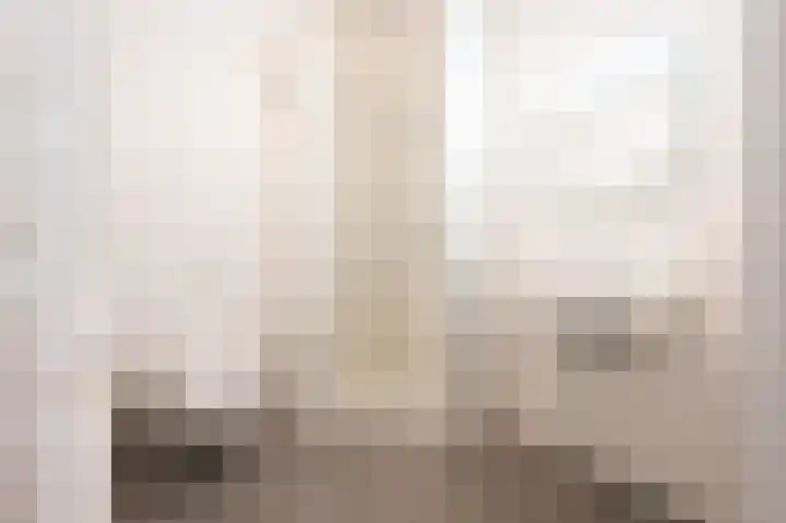 Zeedijk 24 126 Nieuwvliet thumbnail 4