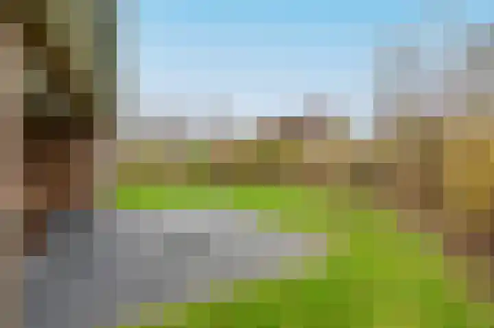 Zeedijk 24 126 Nieuwvliet thumbnail 8