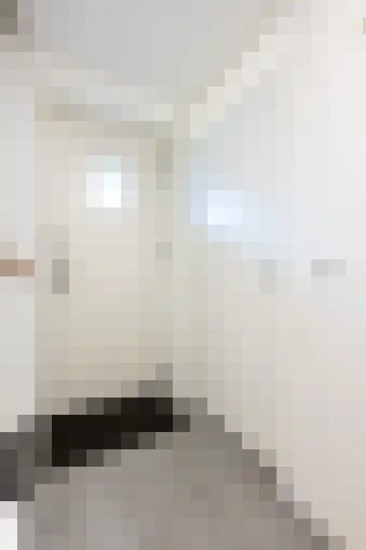 Zeedijk 24 126 Nieuwvliet thumbnail 9