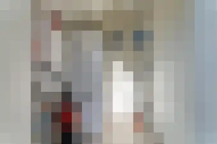Zeedijk 24 128 Nieuwvliet thumbnail 11
