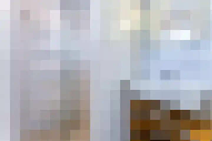 Zeedijk 24 128 Nieuwvliet thumbnail 13