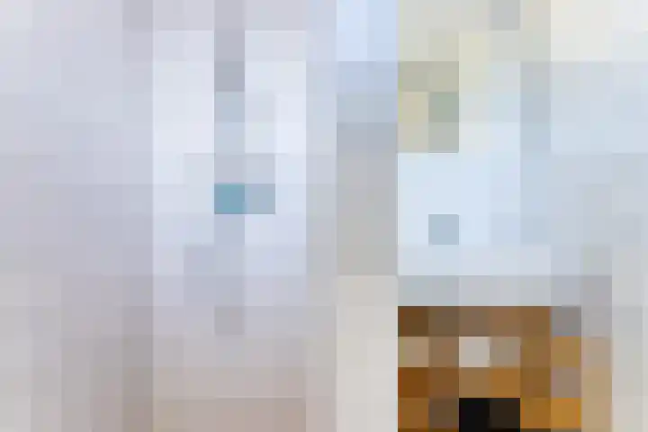 Zeedijk 24 128 Nieuwvliet thumbnail 14