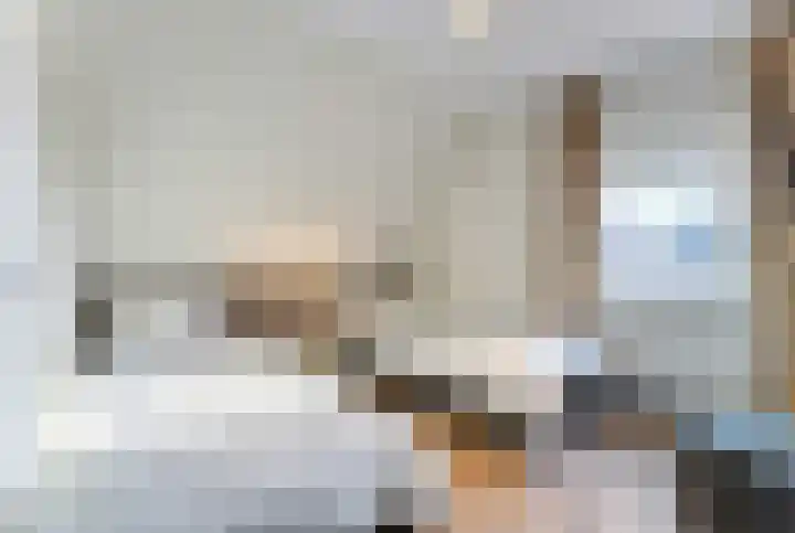 Zeedijk 24 128 Nieuwvliet thumbnail 16