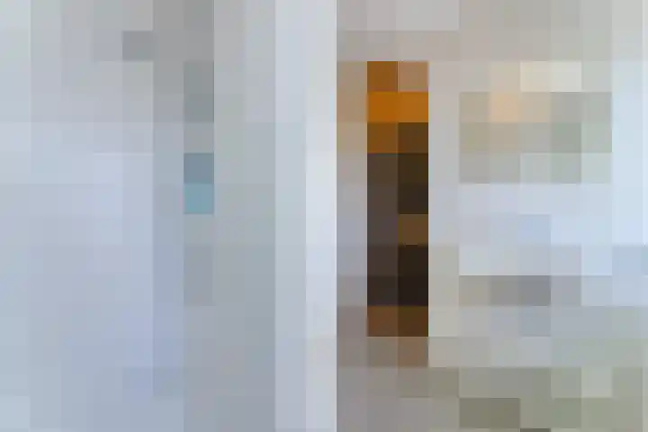 Zeedijk 24 128 Nieuwvliet thumbnail 17
