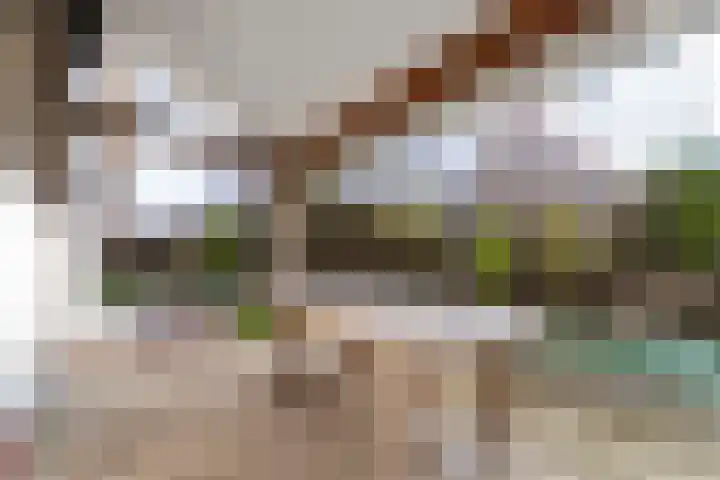 Zeedijk 24 128 Nieuwvliet thumbnail 19