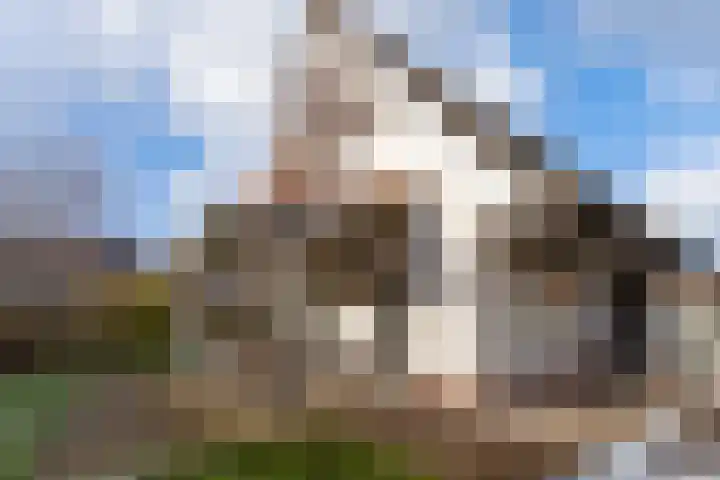 Zeedijk 24 128 Nieuwvliet thumbnail 20