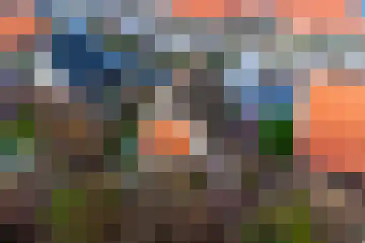 Zeedijk 24 128 Nieuwvliet thumbnail 23