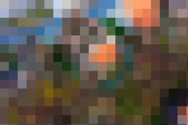 Zeedijk 24 128 Nieuwvliet thumbnail 24
