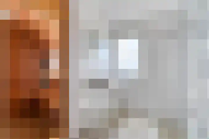 Zeedijk 24 128 Nieuwvliet thumbnail 4