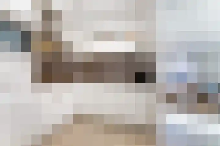 Zeedijk 24 128 Nieuwvliet thumbnail 9