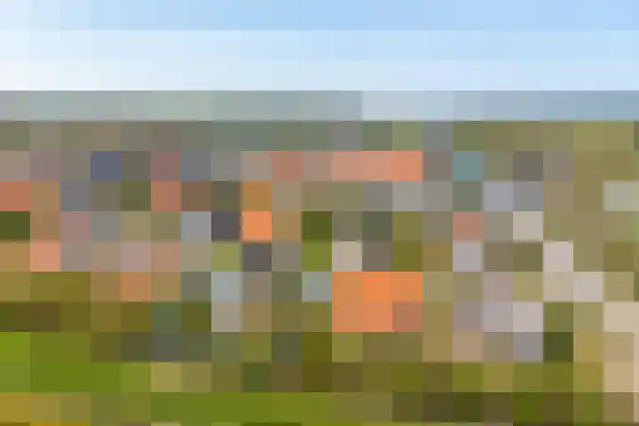 Zeedijk 24 142 en Nieuwvliet