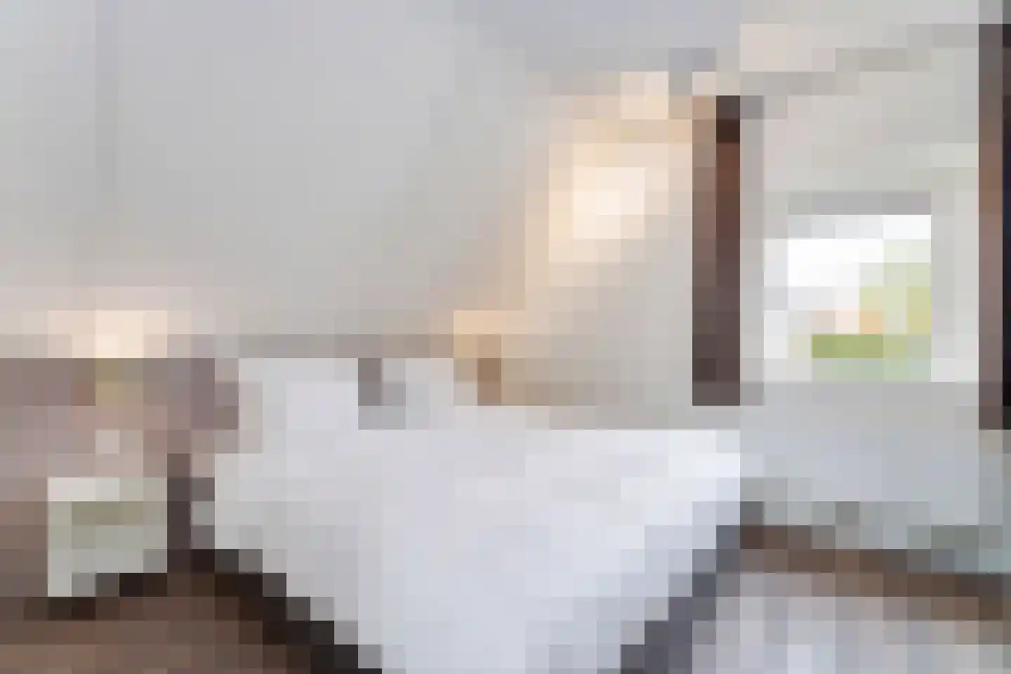 Zeedijk 24 142 Nieuwvliet thumbnail 15
