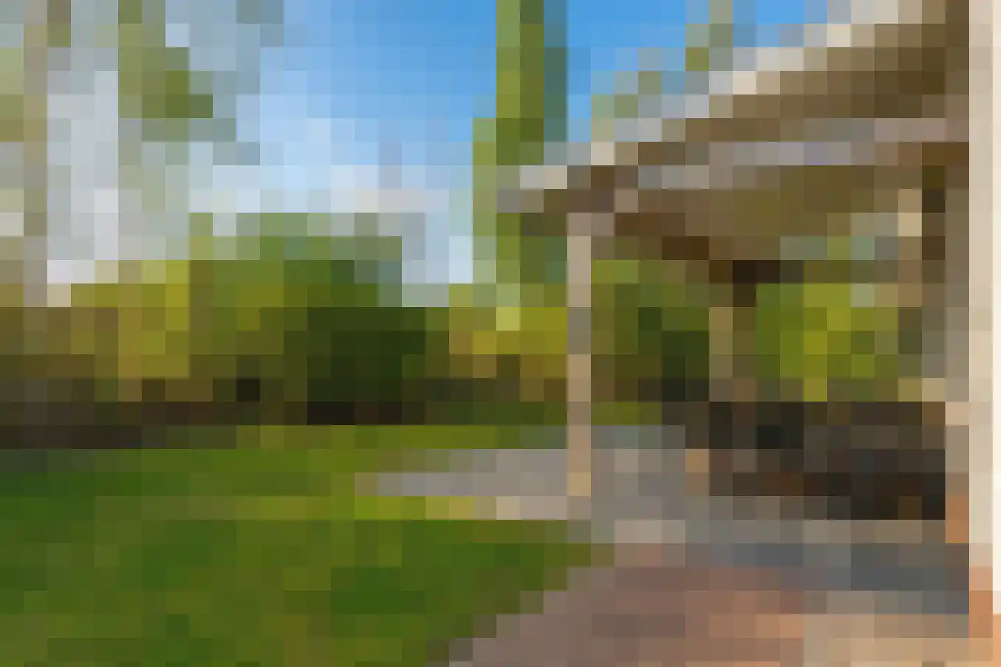 Zeedijk 24 142 Nieuwvliet thumbnail 5