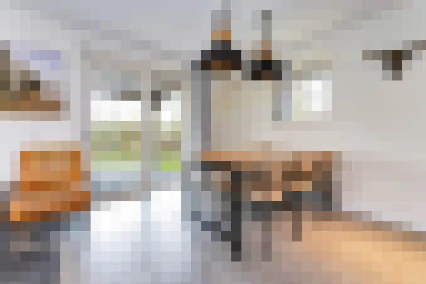 Zeedijk 24 142 Nieuwvliet thumbnail 9
