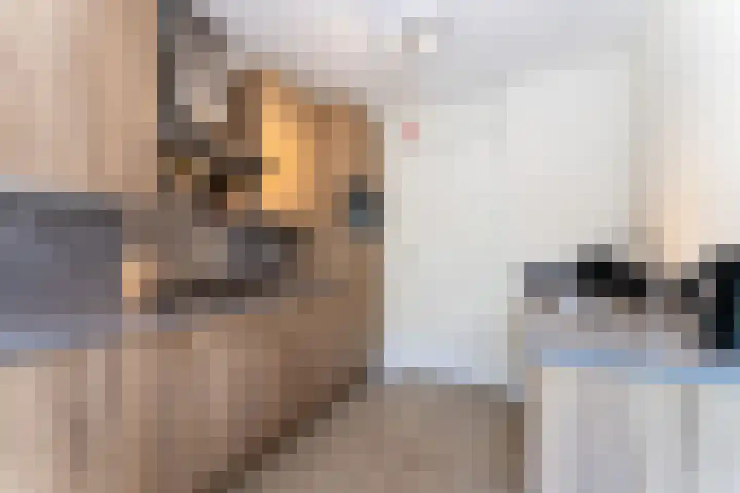 Zeedijk 24 166 Nieuwvliet thumbnail 10