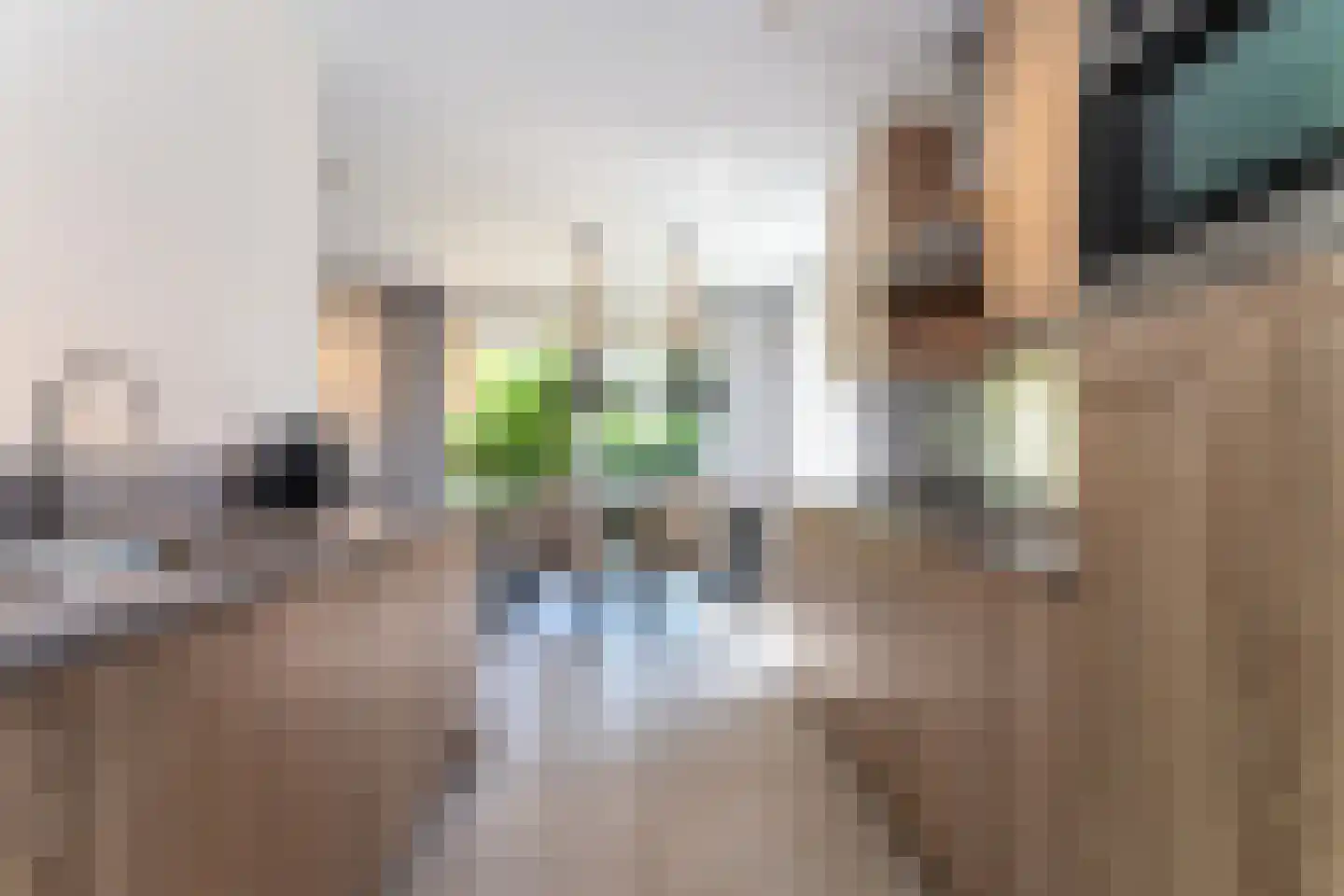 Zeedijk 24 166 Nieuwvliet thumbnail 11