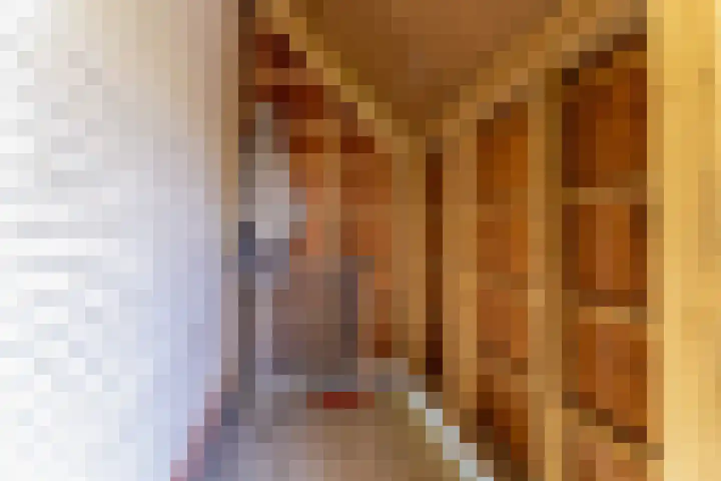 Zeedijk 24 166 Nieuwvliet thumbnail 17