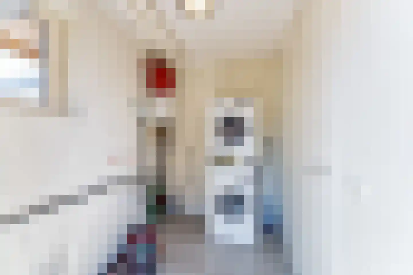 Zeedijk 24 166 Nieuwvliet thumbnail 18